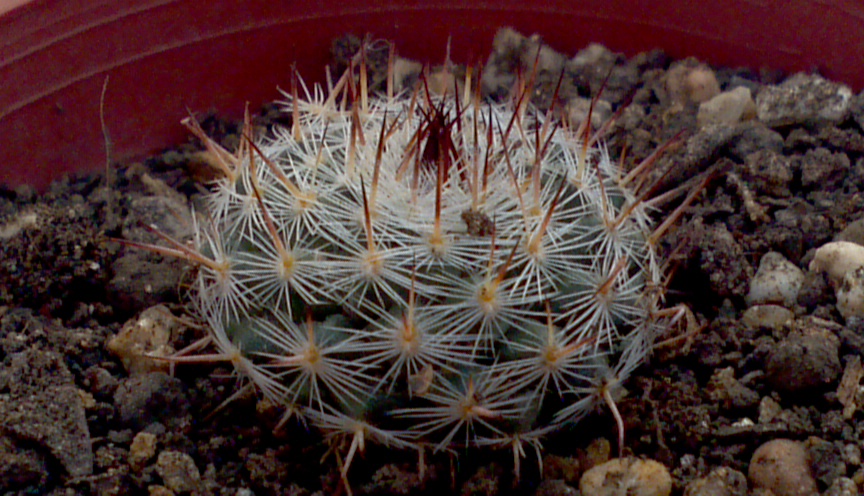 2013-05-21_09-33-36_478_zpsa58ffeb1.jpg