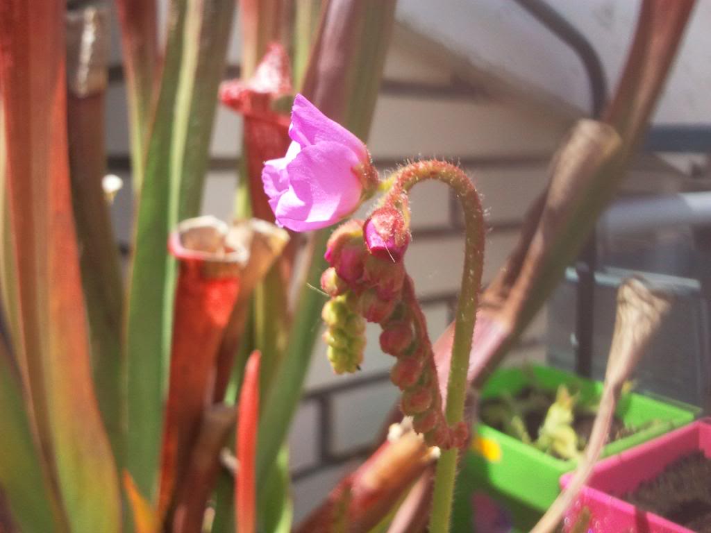 2013-05-26141250_zpsa981e56b.jpg