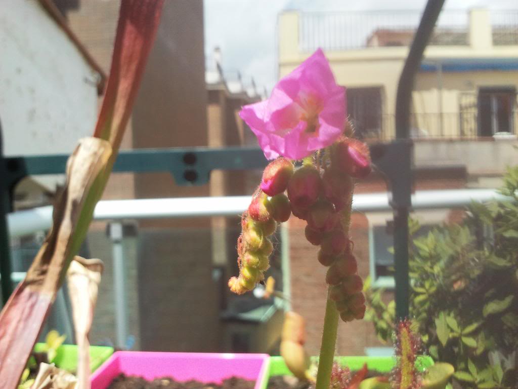 2013-05-26141331_zpsffdaea39.jpg