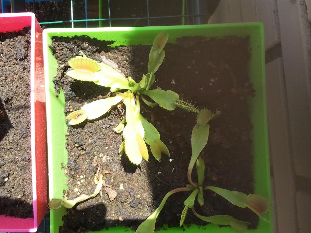 2013-05-26141427_zps1b12a6e2.jpg