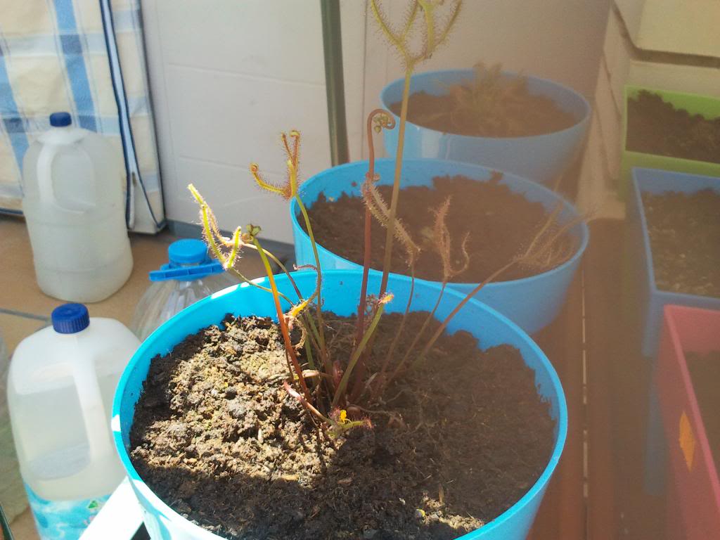 2013-05-26141640_zps66425f66.jpg