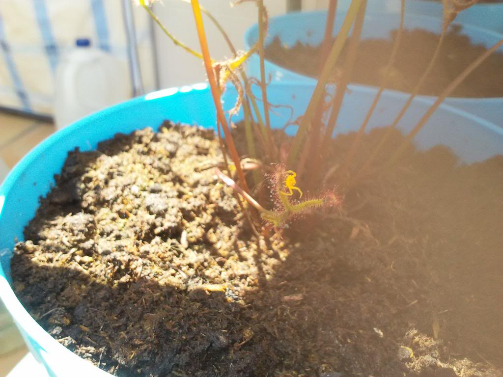 2013-05-26141709_zps103b1c19.jpg