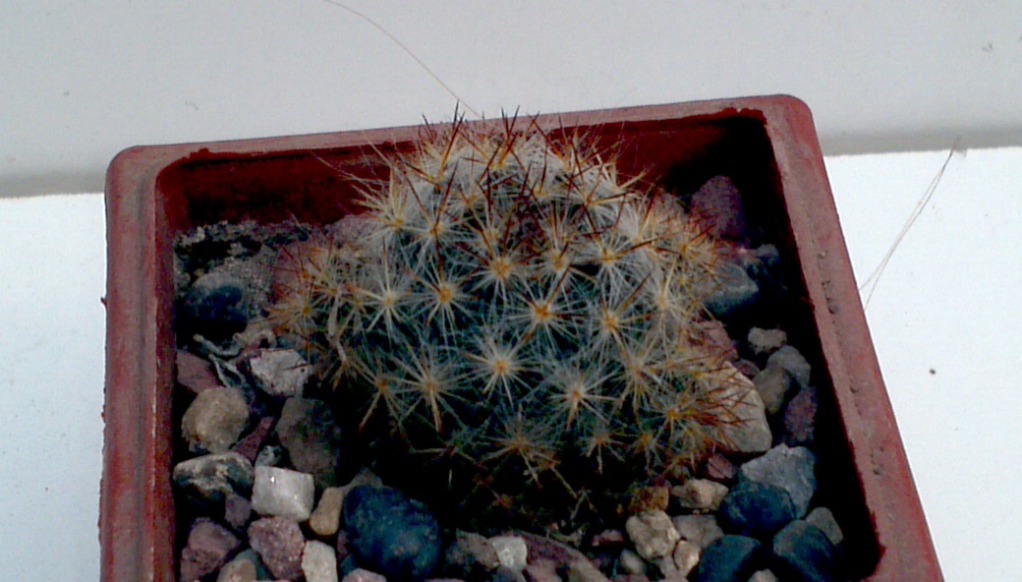 2013-05-26_11-42-31_791_zpsb0a96389.jpg