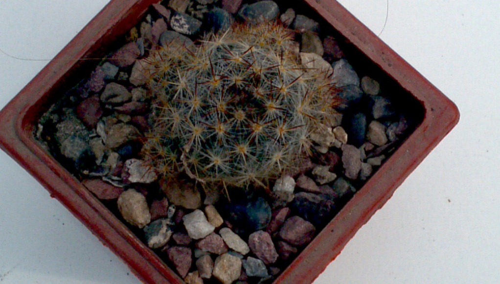2013-05-26_11-42-43_96_zpsda00a549.jpg