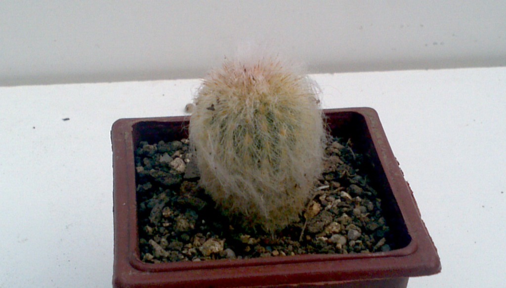 2013-05-26_11-59-49_130_zps59dfcb75.jpg