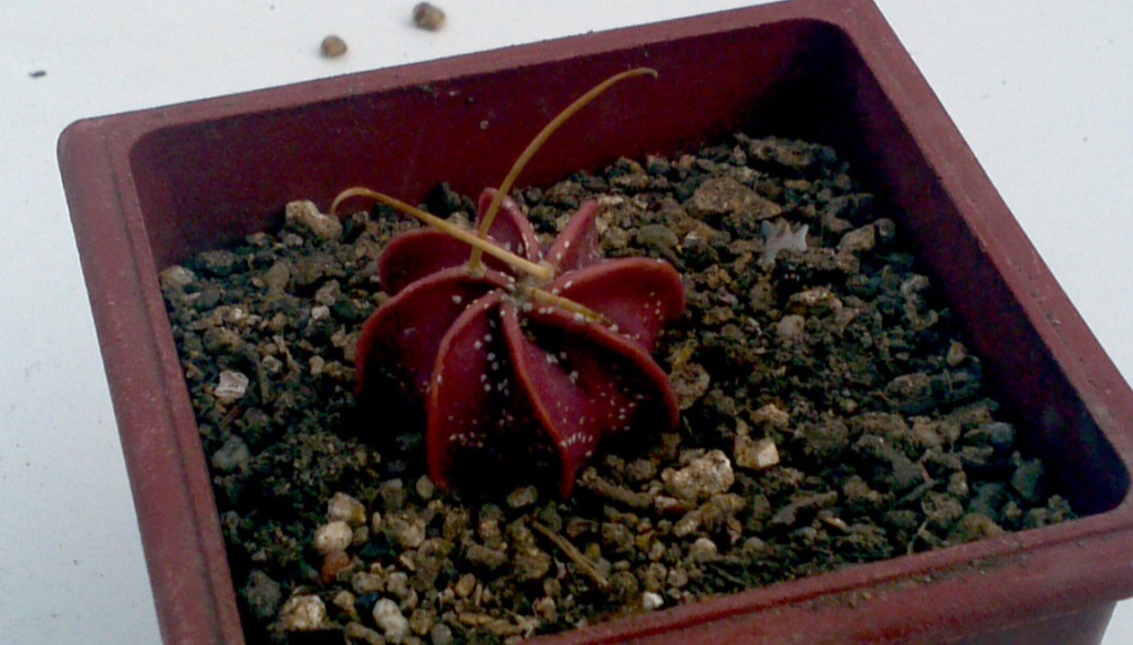 2013-05-26_12-00-09_56_zps3b92bf57.jpg