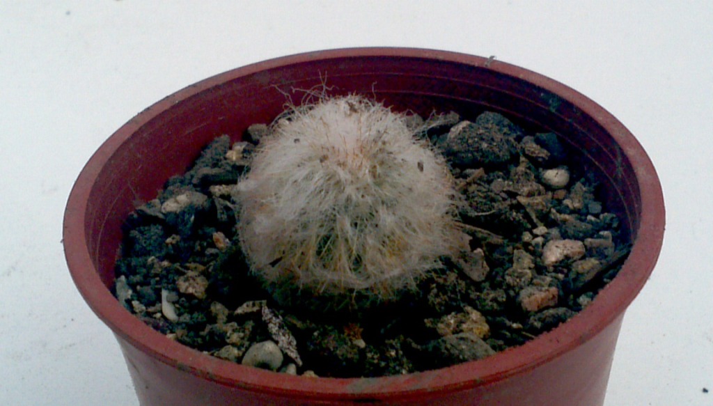 2013-05-26_12-00-26_355_zps76d16c78.jpg