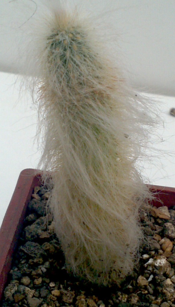 2013-05-26_12-00-53_739_zps389924be.jpg