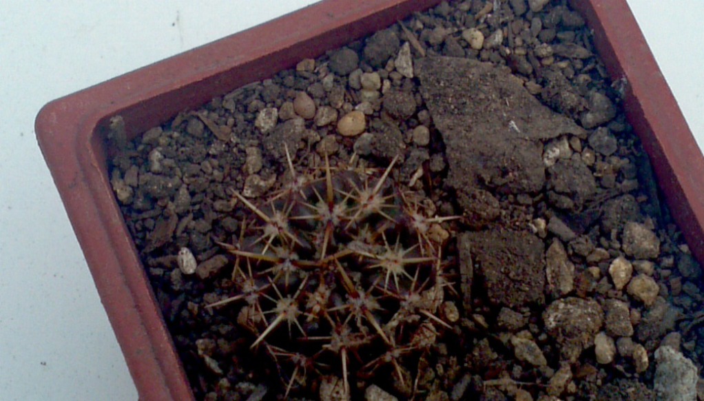 2013-05-26_12-01-09_71_zps75986408.jpg
