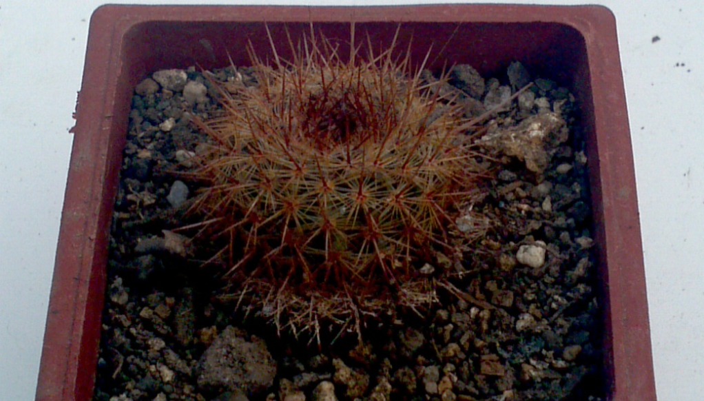 2013-05-26_12-01-58_993_zps304a1761.jpg