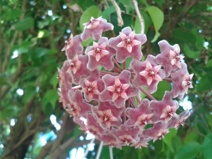 2013-06-06.jpg