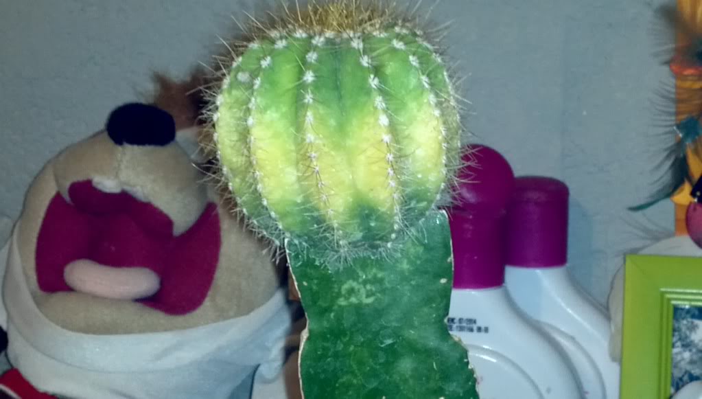 2013-06-08_19-47-01_763_zps044733bb.jpg