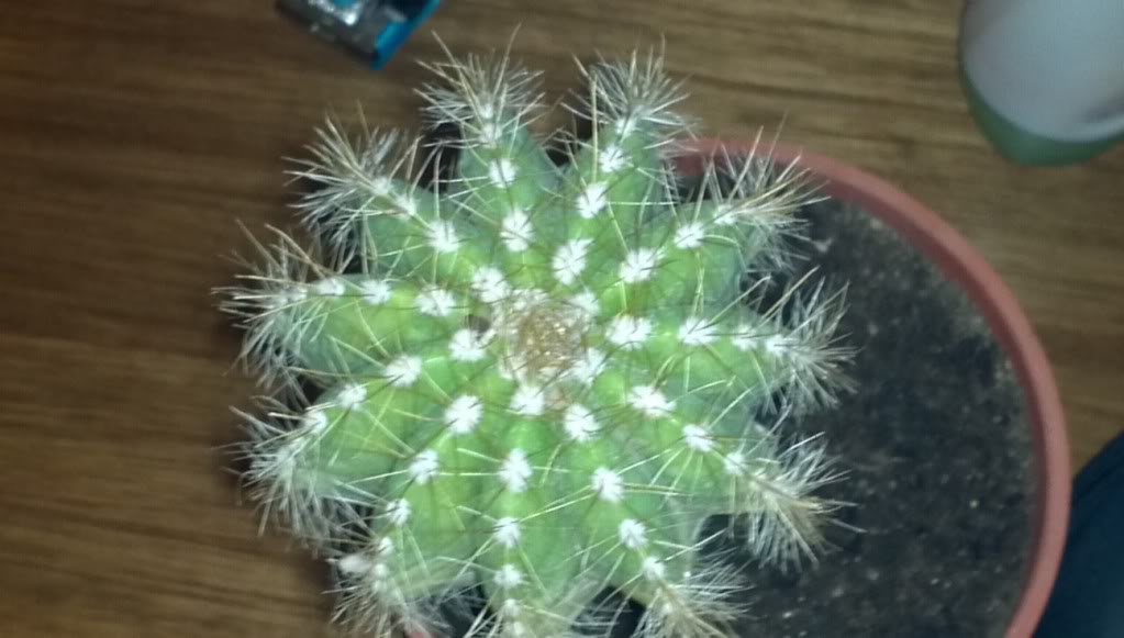 2013-06-08_19-47-13_532_zps08c958d0.jpg