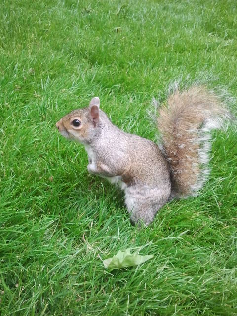 2013-06-09155756_zpsf5192793.jpg