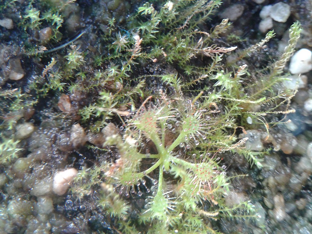 2013-07-16145153_zps2400834f.jpg