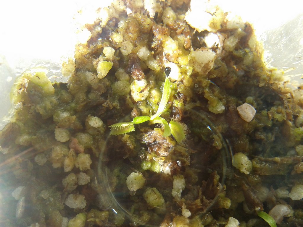 2013-07-16145339_zps79203d9e.jpg