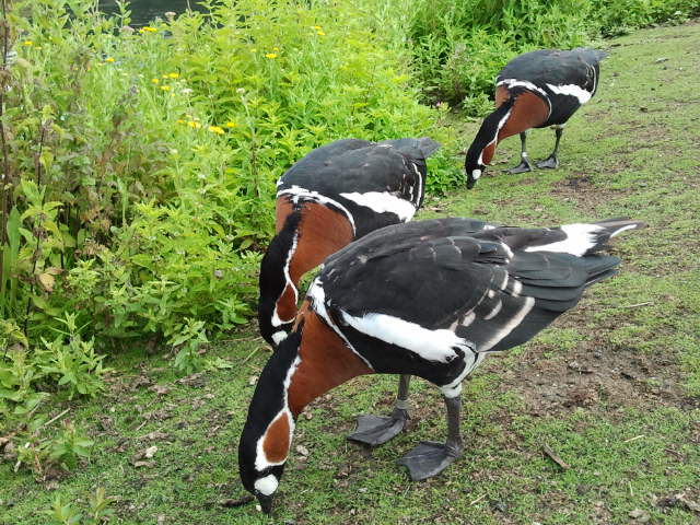 2013-07-31143511_zpse7a424f9.jpg