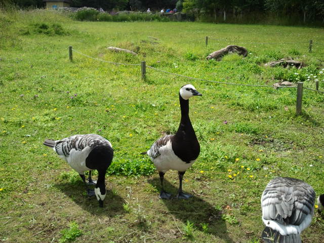 2013-07-31143657_zpsedf509cd.jpg