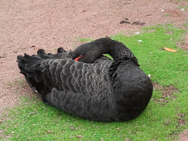 2013-07-31145516_zpsfe2e372b.jpg