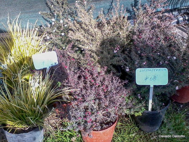 2013-08-19%252011.31.09_L.jpg