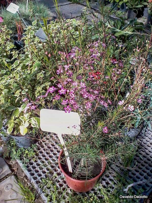 2013-08-19%252011.32.28_L.jpg