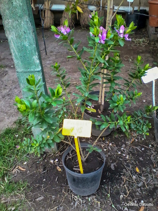 2013-08-19%252011.32.58_L.jpg