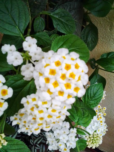 2013-08-22+20.31.25.jpg