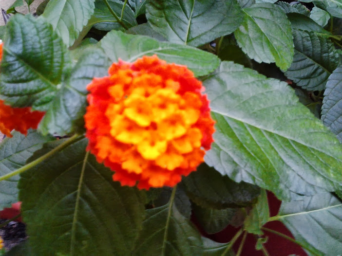 2013-08-22+20.31.44.jpg