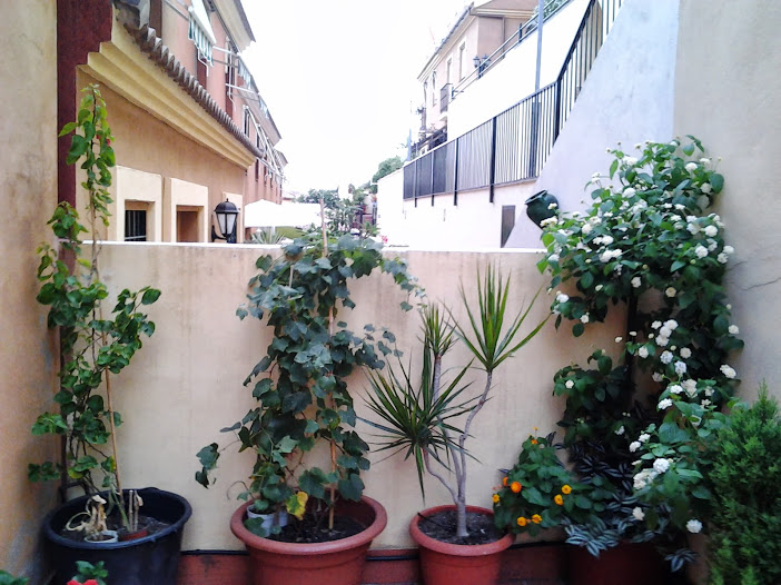 2013-08-22+20.32.00.jpg