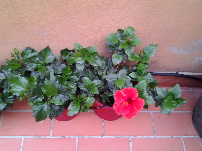 2013-08-22+20.32.17.jpg