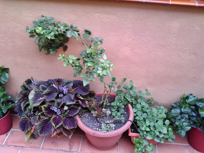 2013-08-22+20.32.26.jpg