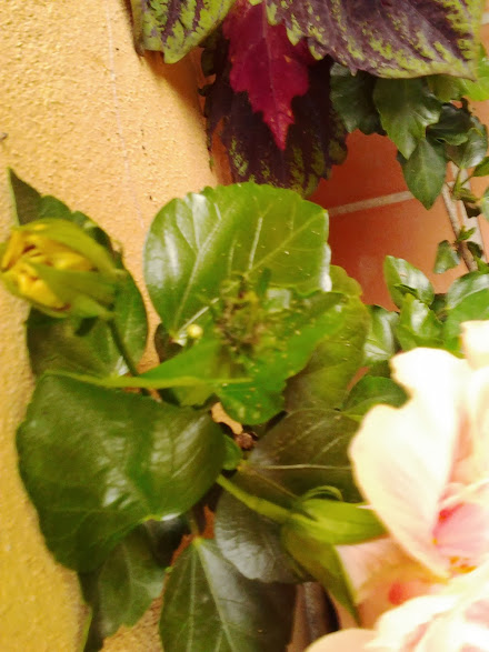 2013-08-22+20.33.33.jpg