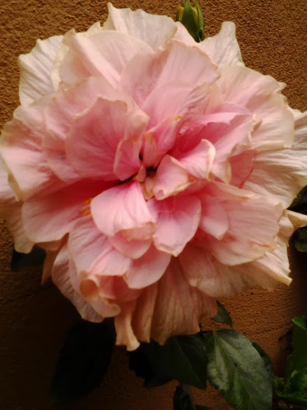2013-08-22+20.34.06.jpg