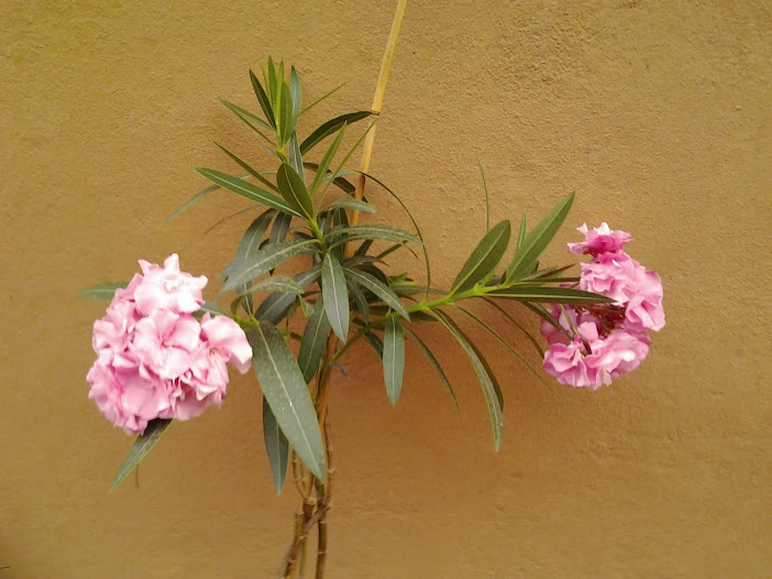 2013-08-22+20.34.17.jpg