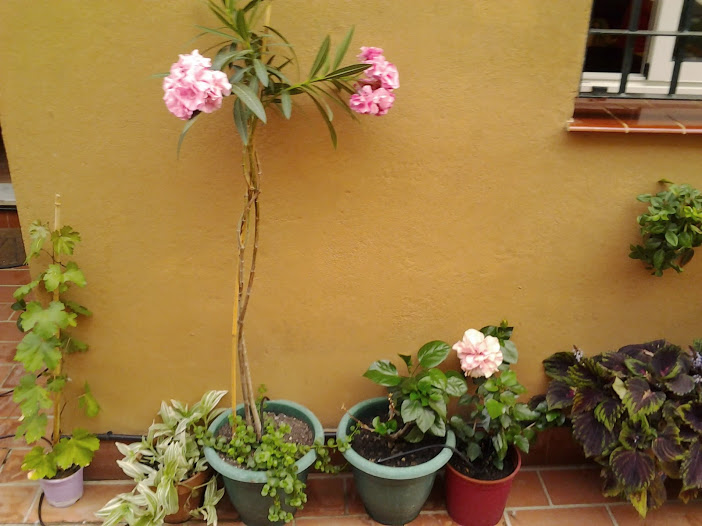 2013-08-22+20.34.27.jpg