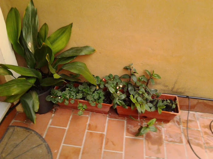 2013-08-22+20.34.47.jpg