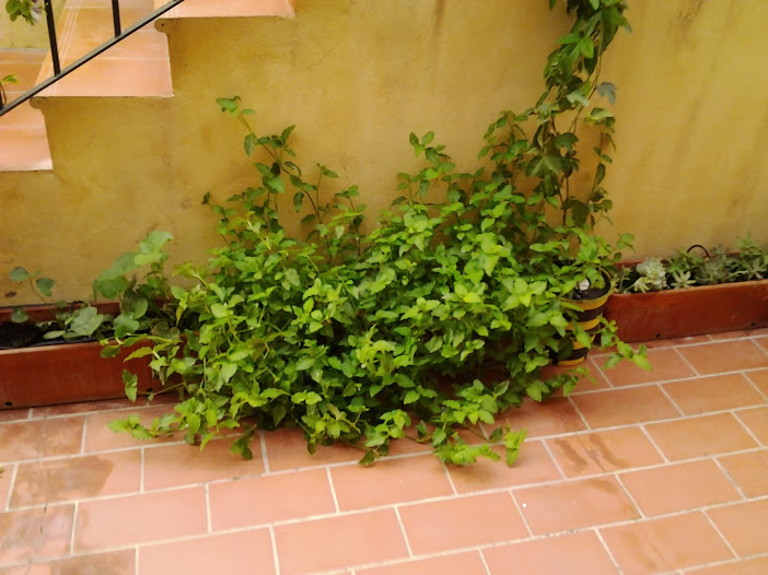 2013-08-22+20.34.55.jpg
