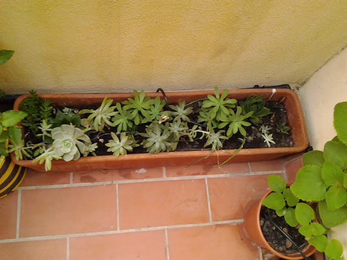 2013-08-22+20.35.16.jpg