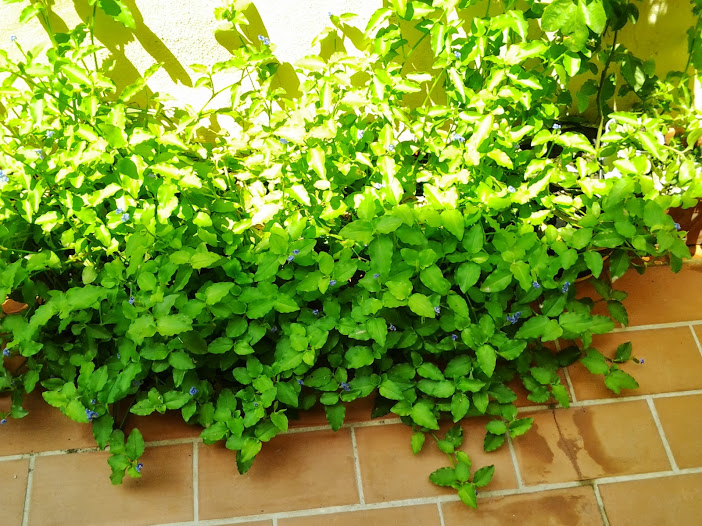 2013-08-27+14.20.28.jpg