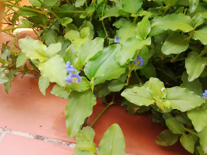 2013-08-27+14.20.34.jpg