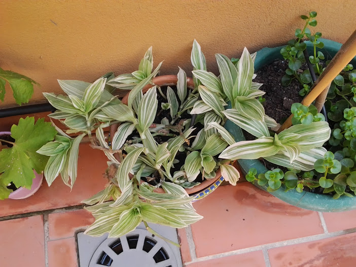 2013-08-27+14.20.44.jpg