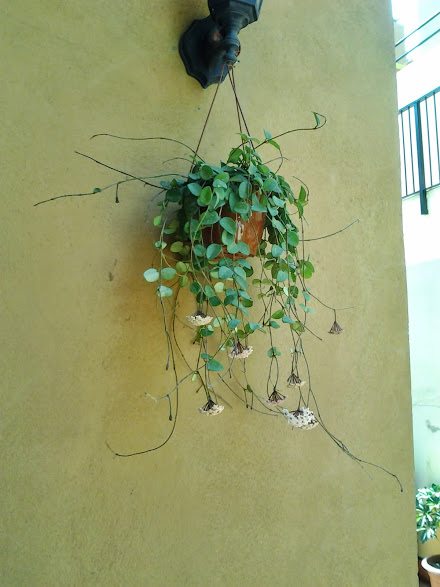 2013-08-27+15.30.08.jpg