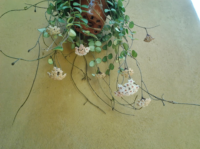 2013-08-27+15.30.16.jpg