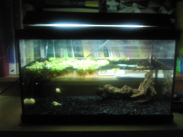 2013-08-27202111_zps4fbbcdaa.jpg