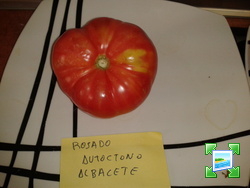 2013-09-01095408.jpg