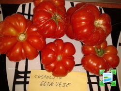 2013-09-01095430.jpg