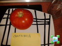 2013-09-01095442.jpg