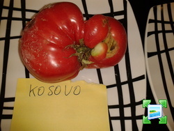 2013-09-01095500.jpg