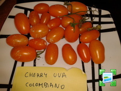 2013-09-01095511.jpg