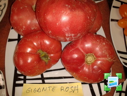 2013-09-01095521.jpg